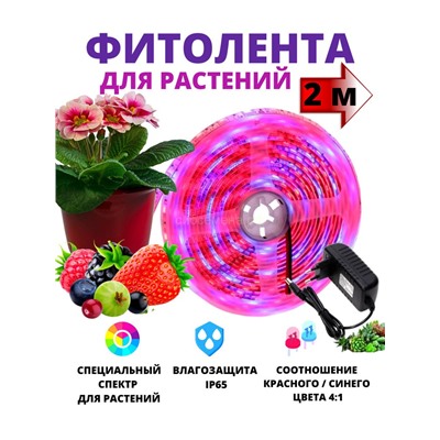 Фитолента св-диод Uniel ULS-P77-2835-42LED/SPSB IP20 2м фиол