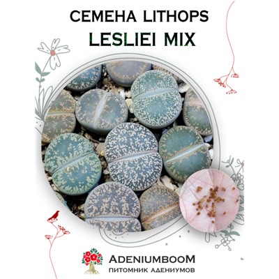 LITHOPS LESLIEI MIX (Литопс Лесли Микс)