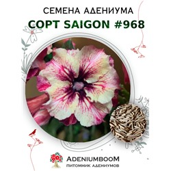 Адениум Тучный от SAIGON ADENIUM № 968  (2 сем)