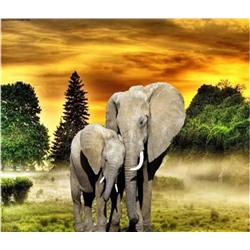 Алмазная мозаика стразами без подрамника "Слон со слонёнком" 40х50 см