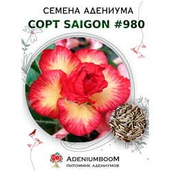 Адениум Тучный от SAIGON ADENIUM № 980  (2 сем)