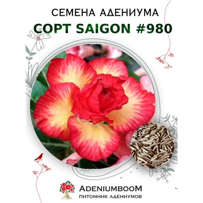 Адениум Тучный от SAIGON ADENIUM № 980  (2 сем)