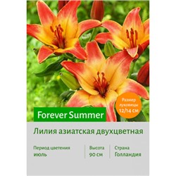 Лилия Forever Summer