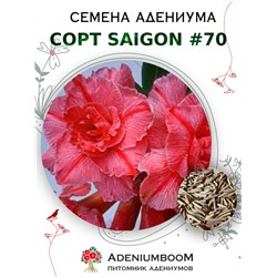 Адениум Тучный от SAIGON ADENIUM № 70   (2 сем)