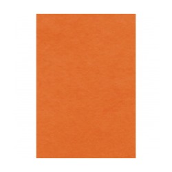 Фельт листовой 50х70 см №064 оранжевый
