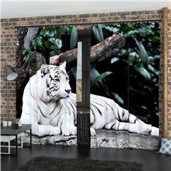 Фотошторы Белый тигр
