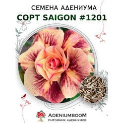 Адениум Тучный от SAIGON ADENIUM № 1201  (2 сем)