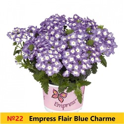 22 Вербена  Empress Flair Blue Charme