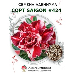 Адениум Тучный от SAIGON ADENIUM № 424   (2 сем)