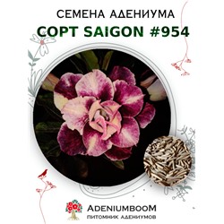 Адениум Тучный от SAIGON ADENIUM № 954  (2 сем)