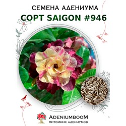 Адениум Тучный от SAIGON ADENIUM № 946  (2 сем)