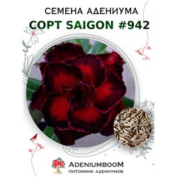 Адениум Тучный от SAIGON ADENIUM № 942  (2 сем)