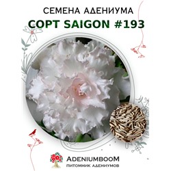 Адениум Тучный от SAIGON ADENIUM № 193   (2 сем)