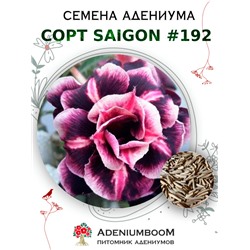Адениум Тучный от SAIGON ADENIUM № 192   (2 сем)