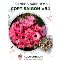 Адениум Тучный от SAIGON ADENIUM № 54   (2 сем)