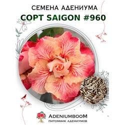 Адениум Тучный от SAIGON ADENIUM № 960  (2 сем)