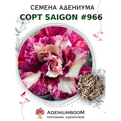 Адениум Тучный от SAIGON ADENIUM № 966  (2 сем)