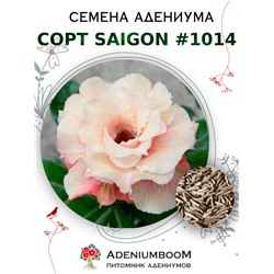 Адениум Тучный от SAIGON ADENIUM № 1014