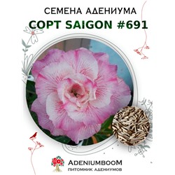 Адениум Тучный от SAIGON ADENIUM № 691   (2 сем)