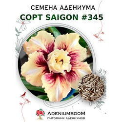 Адениум Тучный от SAIGON ADENIUM № 345   (2 сем)