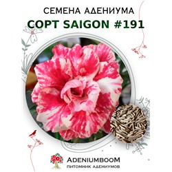 Адениум Тучный от SAIGON ADENIUM № 191   (2 сем)
