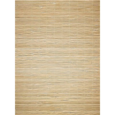 Фотопанно холст "Сухой бамбук", 200*270 см 
                            (d-102551)