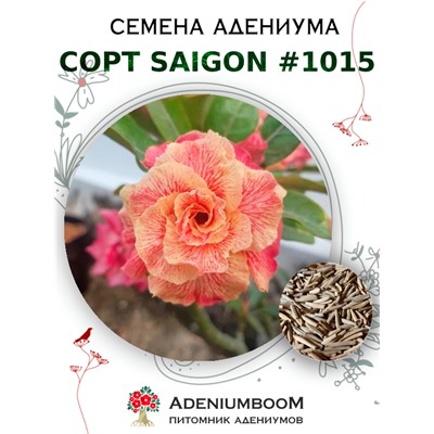 Адениум Тучный от SAIGON ADENIUM № 1015