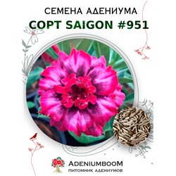 Адениум Тучный от SAIGON ADENIUM № 951  (2 сем)