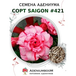 Адениум Тучный от SAIGON ADENIUM № 421   (2 сем)