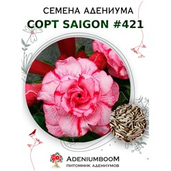 Адениум Тучный от SAIGON ADENIUM № 421