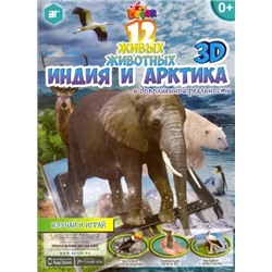 Книга 12 животных Индия и Арктика