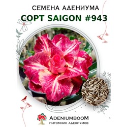 Адениум Тучный от SAIGON ADENIUM № 943  (2 сем)