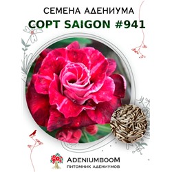 Адениум Тучный от SAIGON ADENIUM № 941  (2 сем)