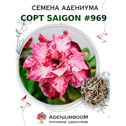 Адениум Тучный от SAIGON ADENIUM № 969