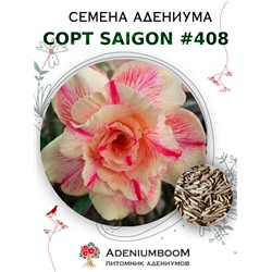 Адениум Тучный от SAIGON ADENIUM № 408   (2 сем)