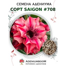 Адениум Тучный от SAIGON ADENIUM № 708   (2 сем)