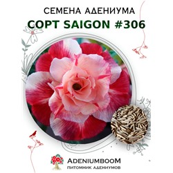 Адениум Тучный от SAIGON ADENIUM № 306  (2 сем)