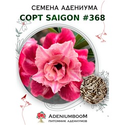 Адениум Тучный от SAIGON ADENIUM № 368   (2 сем)