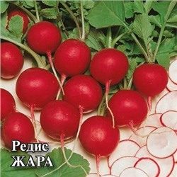 Редис Жара (100г) (Код: 88662)