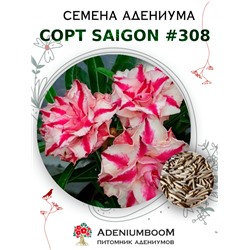 Адениум Тучный от SAIGON ADENIUM № 308  (2 сем)