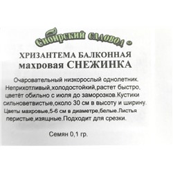Хризантема  Снежинка махр. балконная ч/б (Код: 91952)