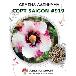 Адениум Тучный от SAIGON ADENIUM № 919