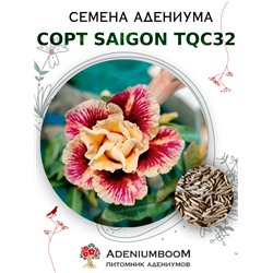 Адениум Тучный от SAIGON ADENIUM, TQC32