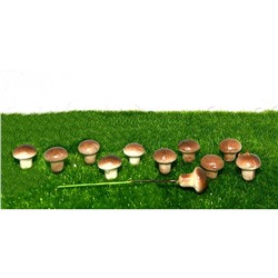 Муляж гриба "Маслята" d - 1,5 см, L – 2 см (10шт)