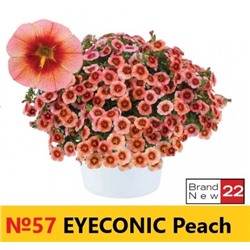 57 Калибрахоа Eyeconic Peach