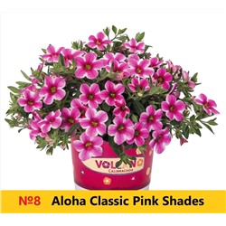 8 Калибрахоа Aloha Classic Pink Shades