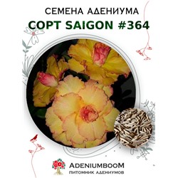 Адениум Тучный от SAIGON ADENIUM № 364   (2 сем)