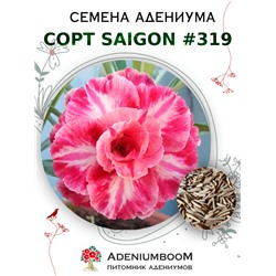 Адениум Тучный от SAIGON ADENIUM № 319  (2 сем)