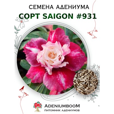 Адениум Тучный от SAIGON ADENIUM № 931