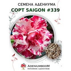 Адениум Тучный от SAIGON ADENIUM № 339   (2 сем)